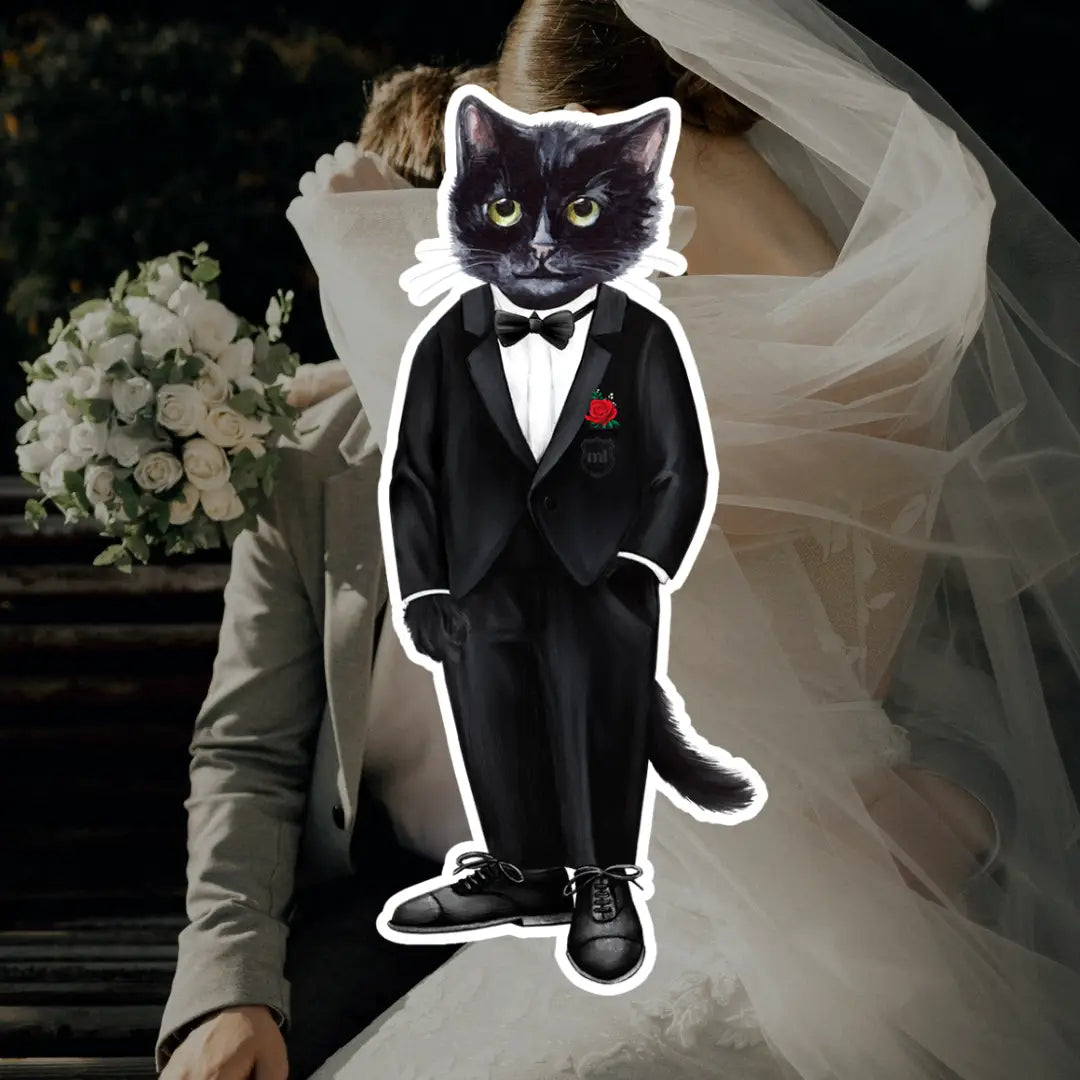 Groom Cat | CAT by maniita lacitta