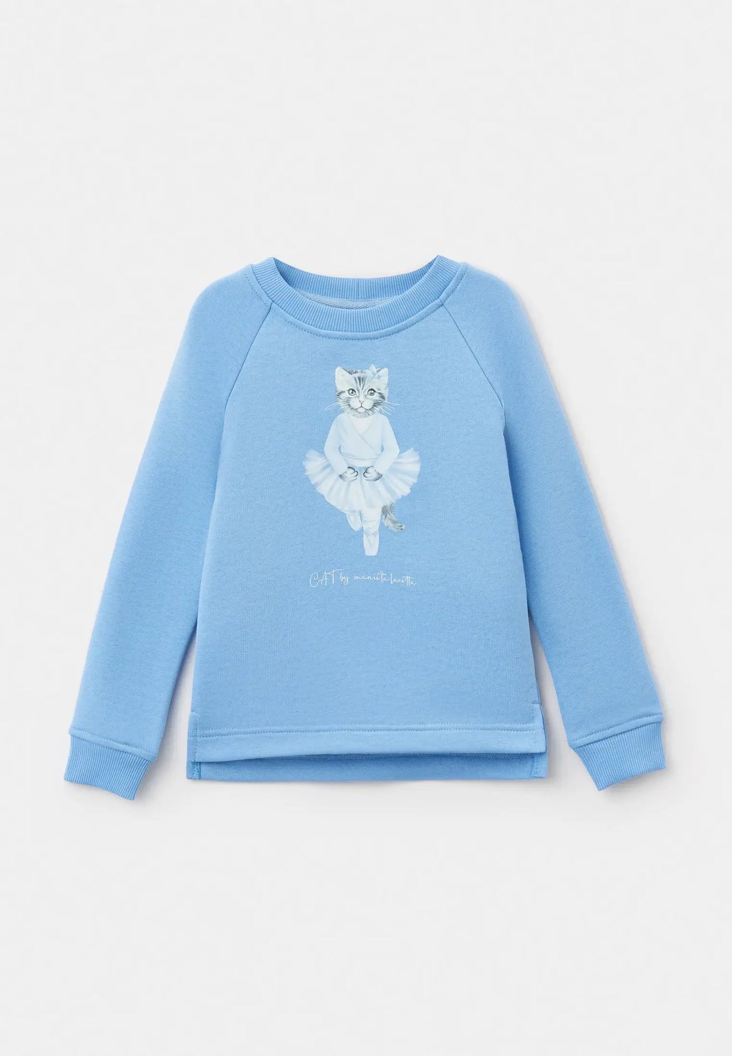 Blue sweatshirt ballet cat - Funny Cat Hoodie & sweatshirt | For Cat Lovers | CAT by maniita