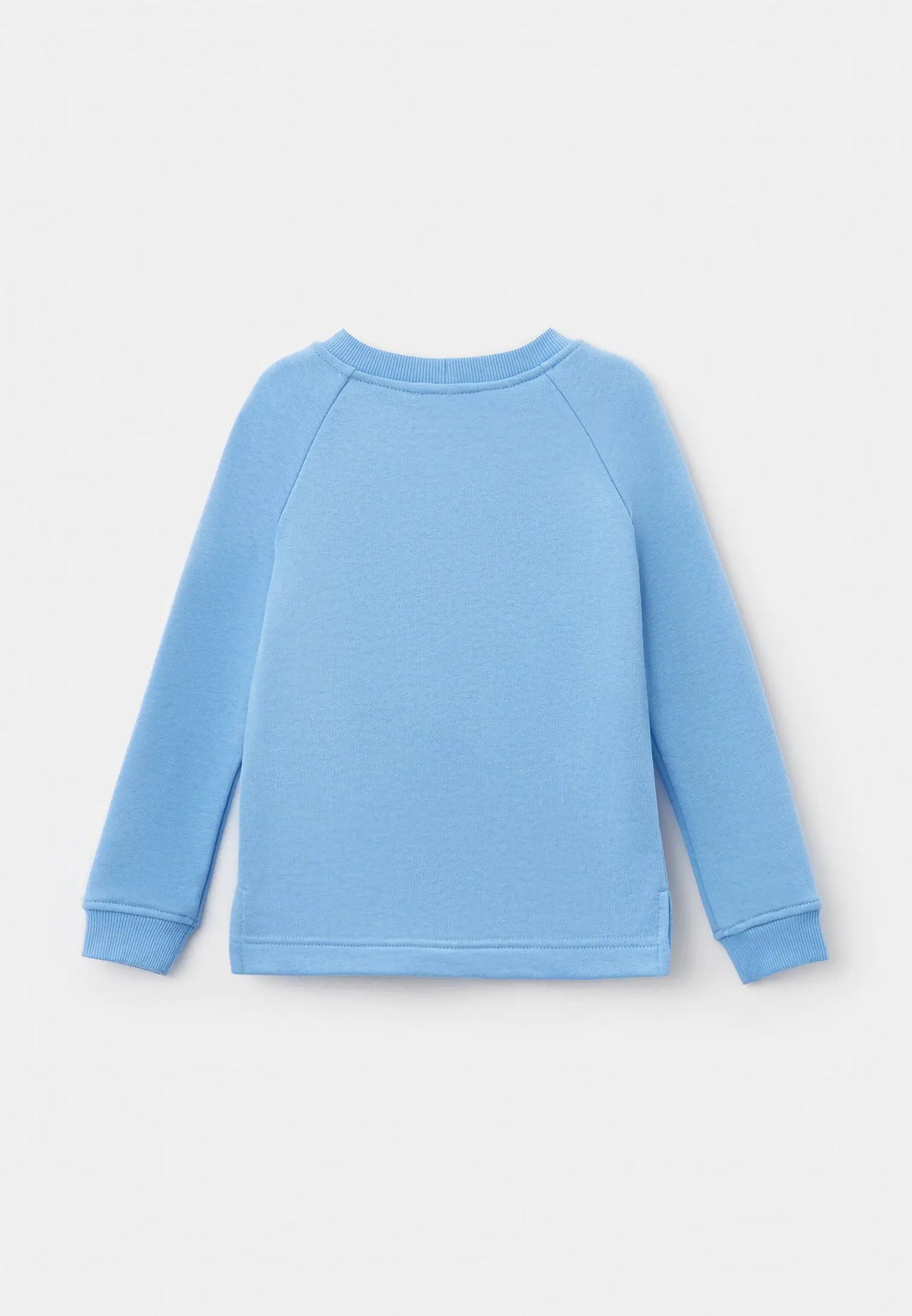 Blue sweatshirt ballet cat - Funny Cat Hoodie & sweatshirt | For Cat Lovers | CAT by maniita