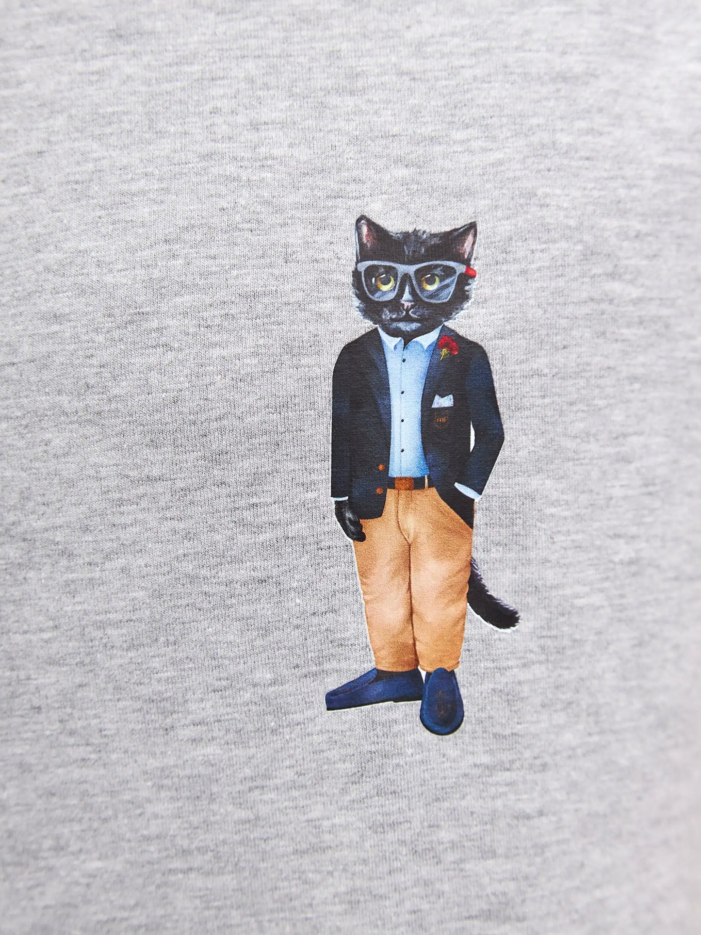 Grey Printed T-shirt REGATTA CAT - T-shirt