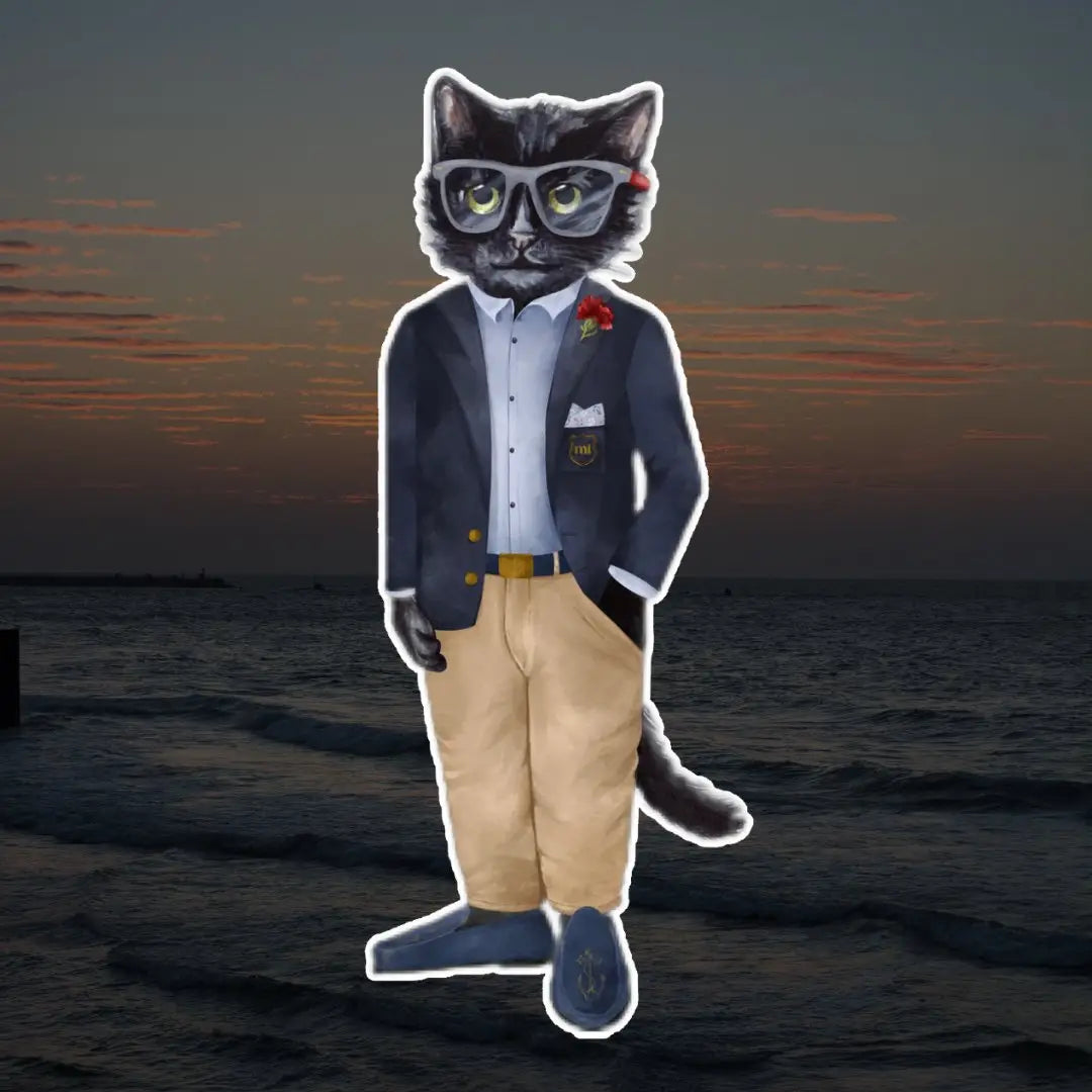 Regatta Cat | CAT by maniita lacitta