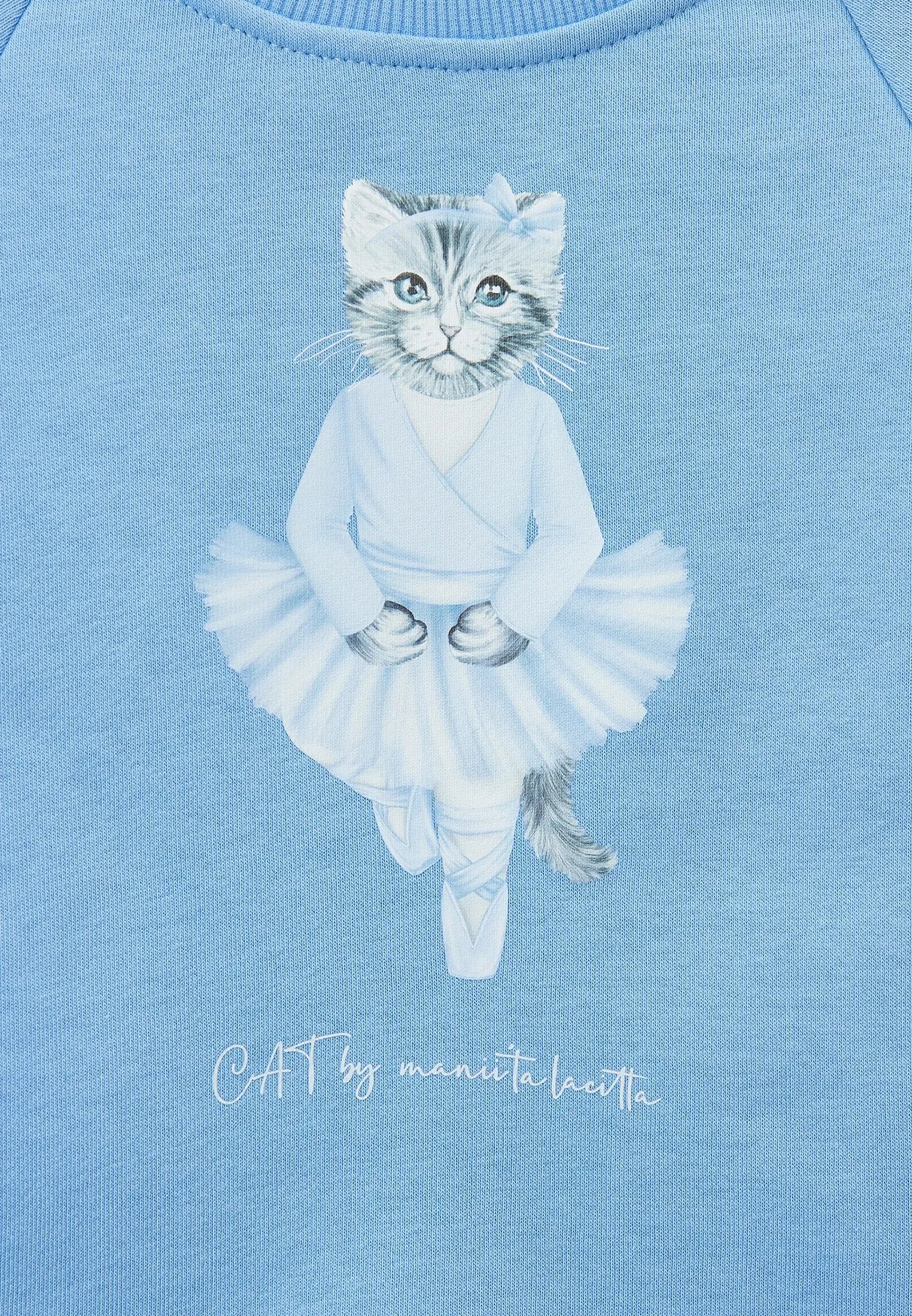 Blue sweatshirt ballet cat - Funny Cat Hoodie & sweatshirt | For Cat Lovers | CAT by maniita