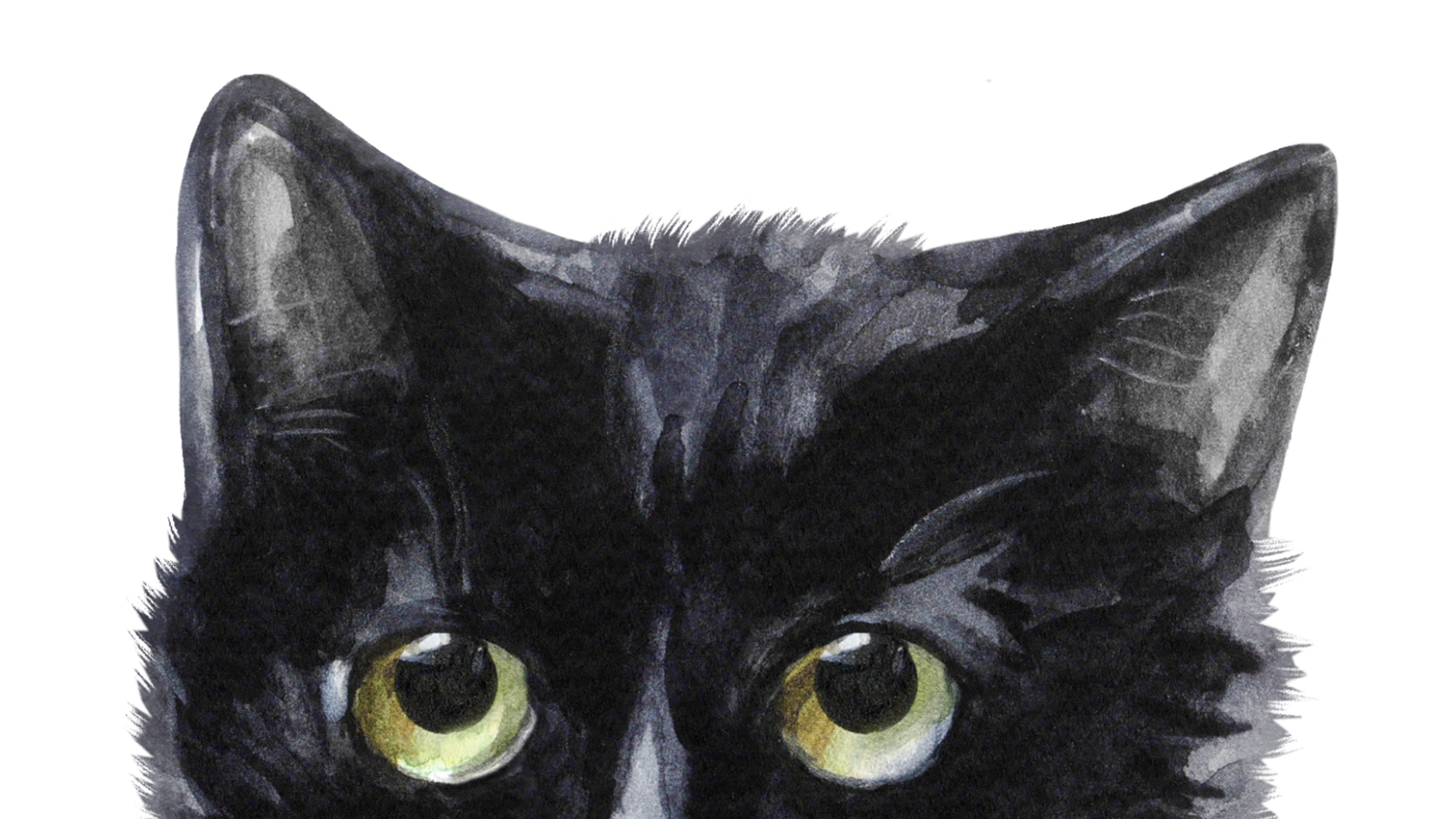 Close-up of a black cat's face with green eyes on a white background