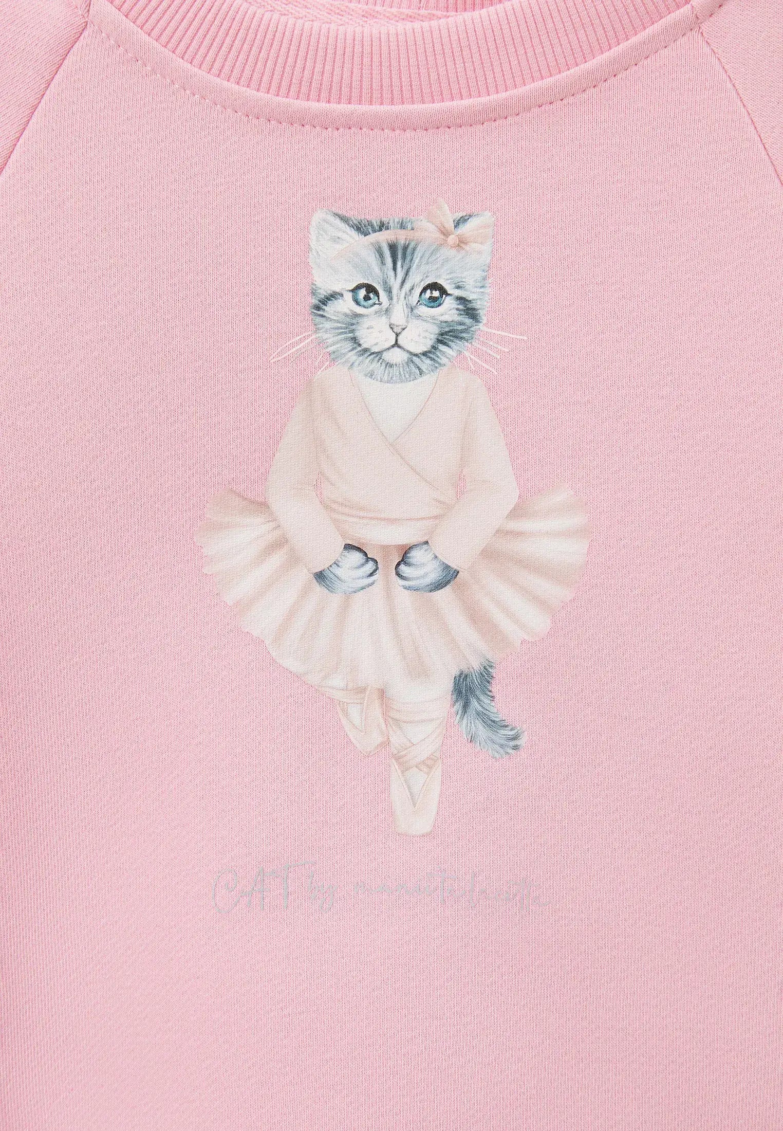 Pink sweatshirt ballet cat - Funny Cat Hoodie & sweatshirt | For Cat Lovers | CAT by maniita