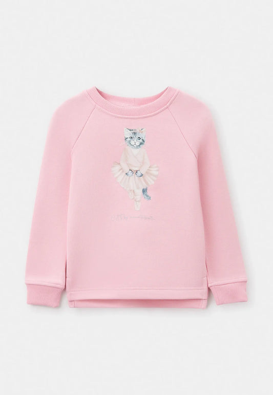 Pink sweatshirt BALLET CAT - Funny Cat Hoodie & sweatshirt | For Cat Lovers | CAT by maniita
